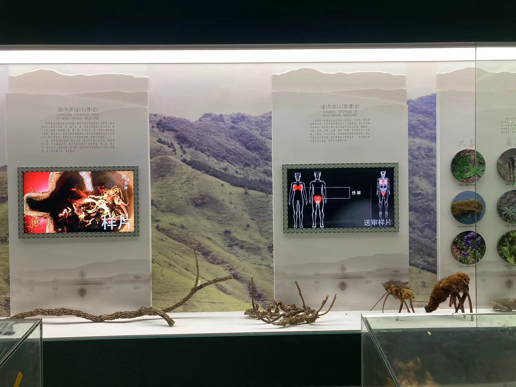 貴州苗藥博物館