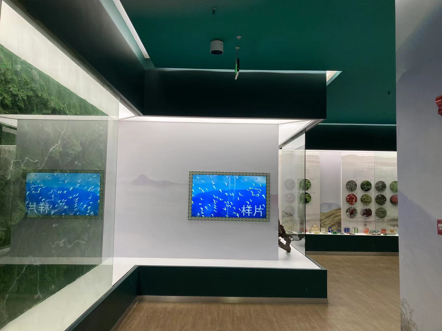 貴州苗藥博物館